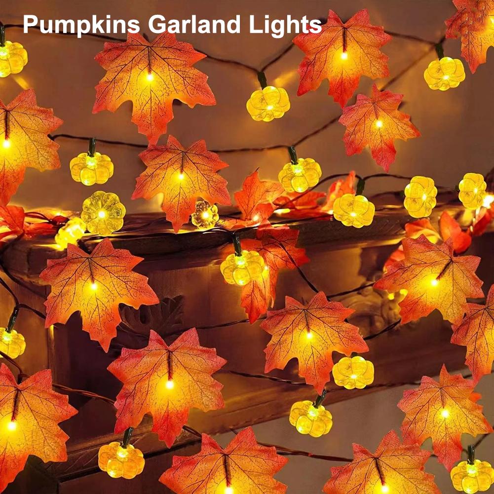 Led Fairy String Lights - Guirlande lumineuse de 10 LED en