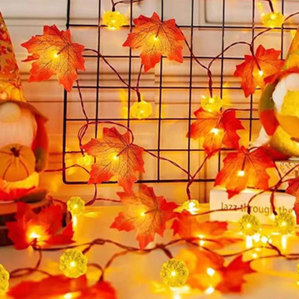 Guirlande lumineuse de 10 LED  - Led Fairy String Lights avis et prix